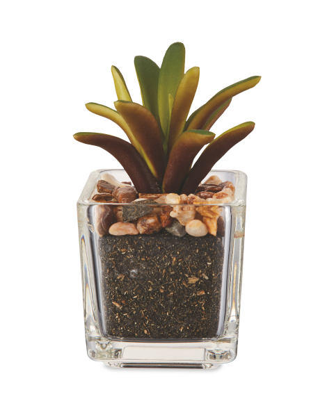 Artificial Arching Succulent