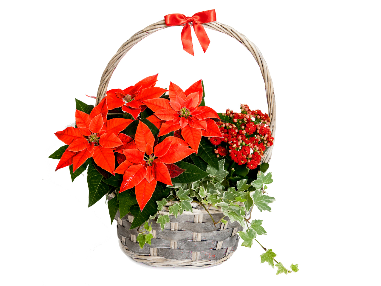 Christmas Gift Basket1