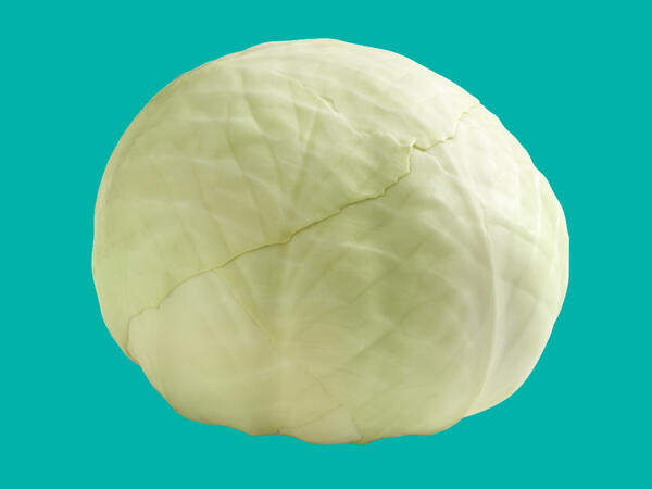 White Cabbage