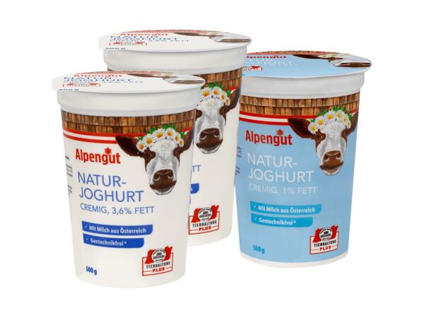 Naturjoghurt