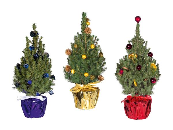 Sukkertop med julepynt