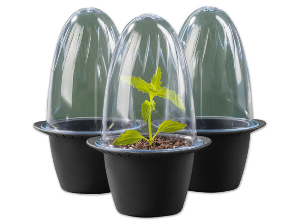 Mini-Anzuchttopf-Set, 3 Stück