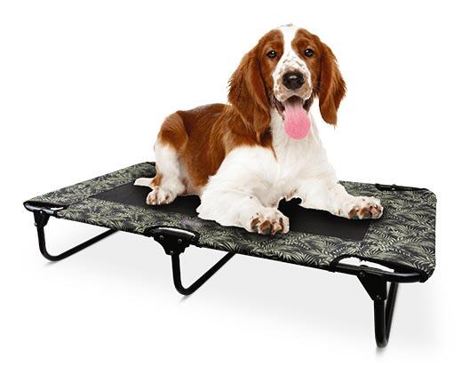 Heart to Tail
Large Pet Travel Cot