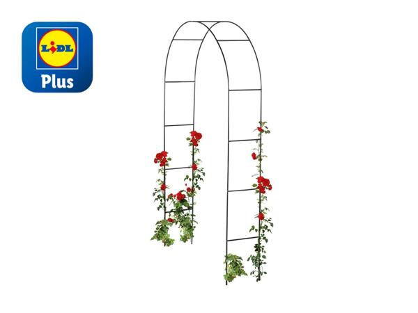 Livarno Home Rose Arch