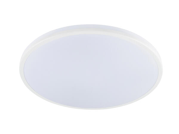 Ceiling or Wall LED Lamp