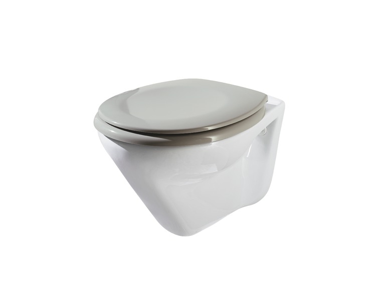 Toilet Seat