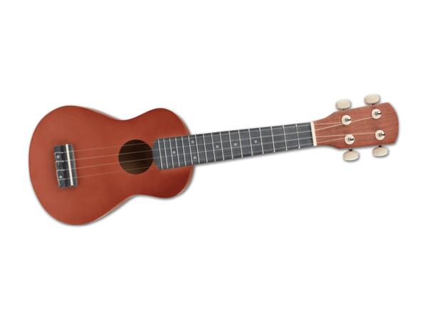 Ukulele/Sopranblockflöte