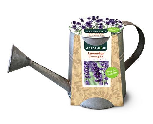 Gardenline 
 Basil or Lavender Growing Kit