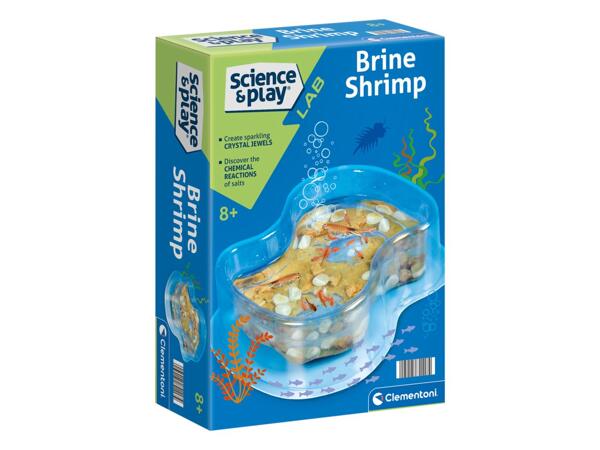 Mini educational game