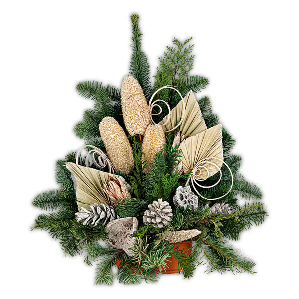 Exklusive Grabschale