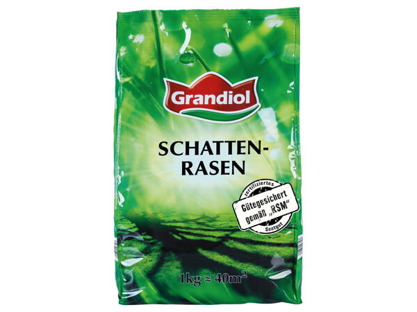 Schattenrasen