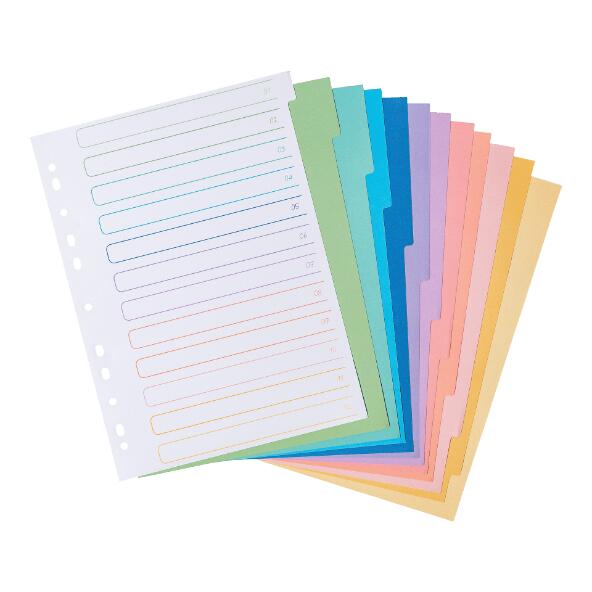 EXPERTIZ(R) 				Ringmappe mit Index-Register
