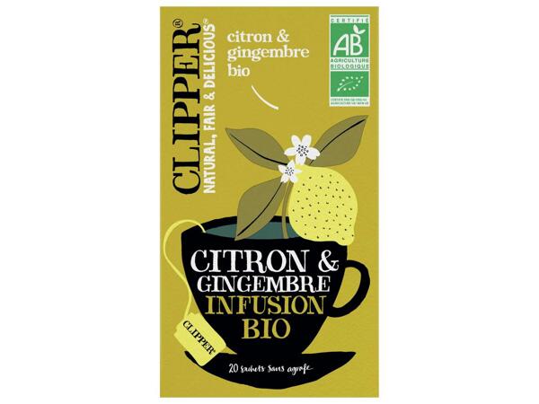 Clipper infusion citron & gingembre Bio