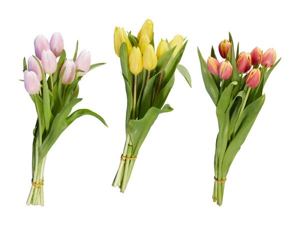 Tulpen