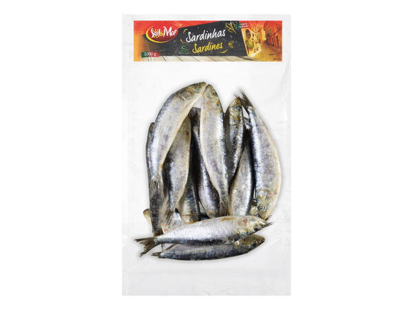 SARDINKY