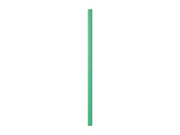 Green Pool Noodle