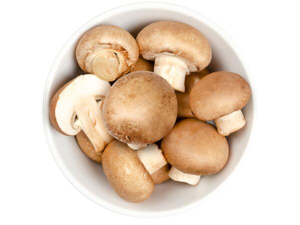 Bio Champignons braun aus Tirol