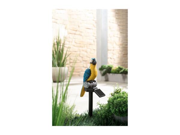 Livarno Home Decorative Solar Light