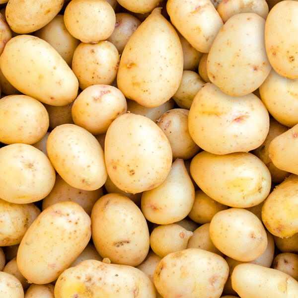 Deutsche Speisekartoffeln