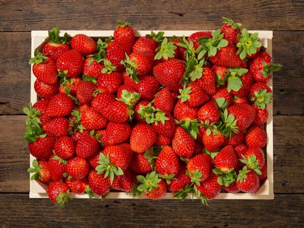 Fragole