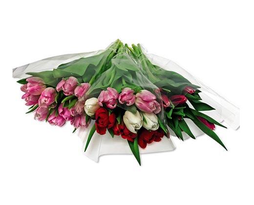10-Stem Tulip Bouquet Assorted Colors