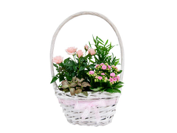 Mother's Day Basket