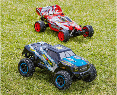 1:10 Scale Remote Control Car