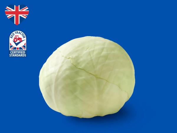 British White Cabbage