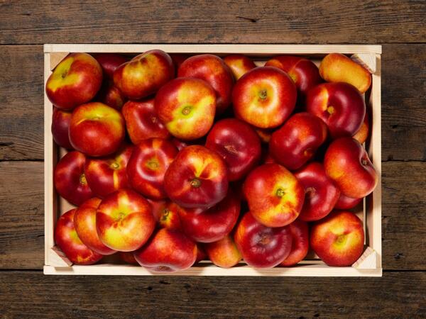 Nectarines plates
