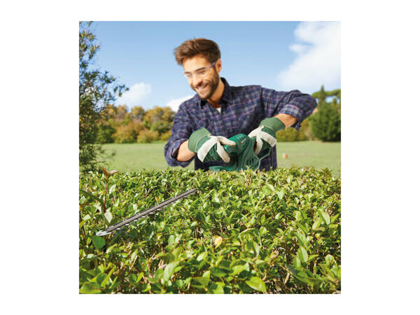 Parkside Hedge Trimmer