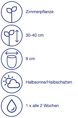Tropische Pflanzen