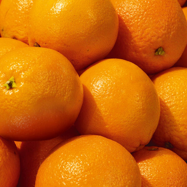 Bio-Orangen