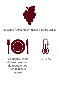 Muscat de Rivesaltes