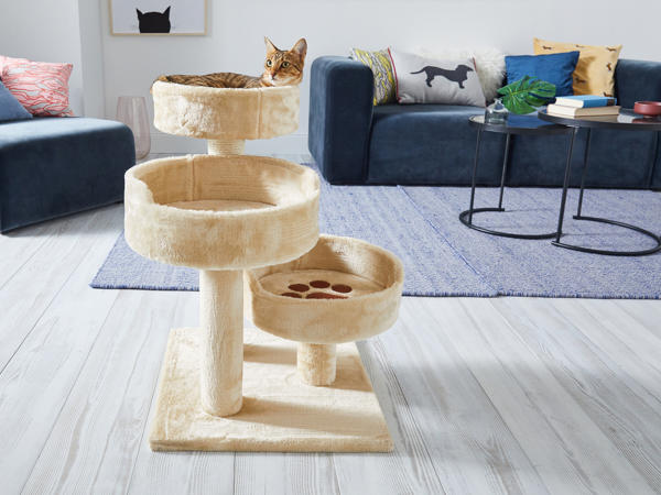 Cat Scratching Post