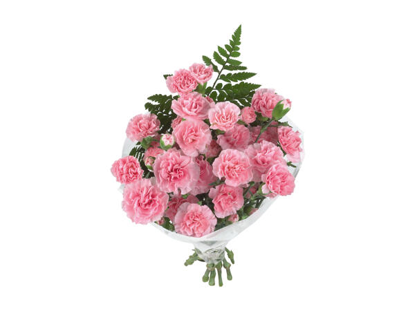 Bunch of Carnations