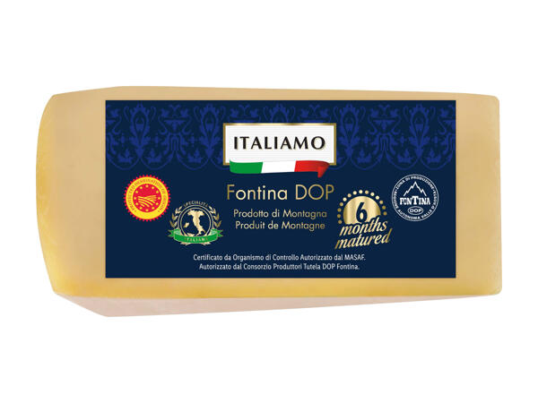 Fontina DOP