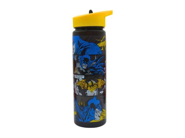 Zak 600ml Character Water Bottle
