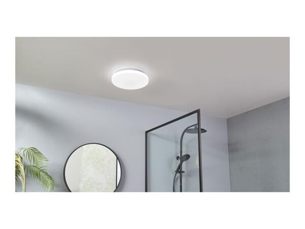 LED Bathroom Ceiling Light - White Shade With White Frame