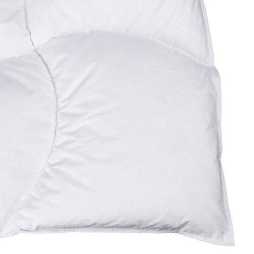 ALBIS DDuvet en duvet niveau de chaleur 2