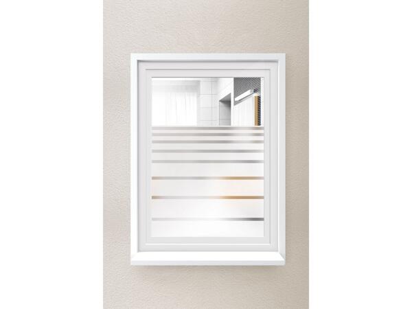 Window Privacy Film