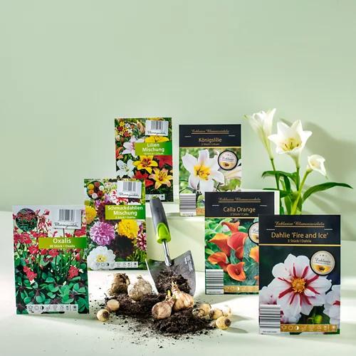 Bulbi di fiori