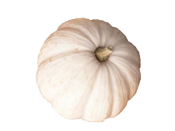 Ghost Pumpkin