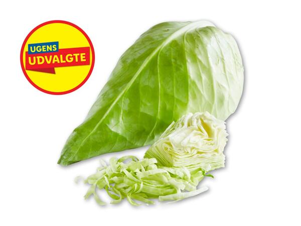 Dansk spidskål