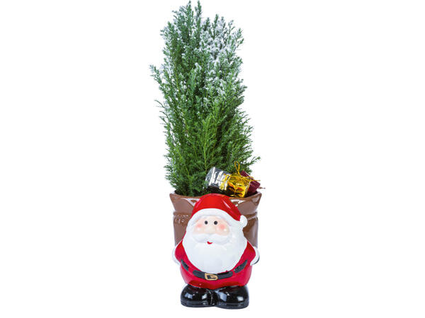 Weihnachtsmann mit Konifere und Dekoration