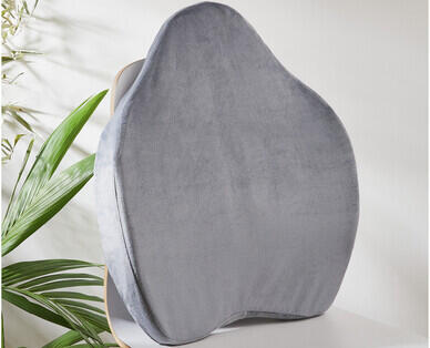 Back Support Cushion or Wedge Pillow