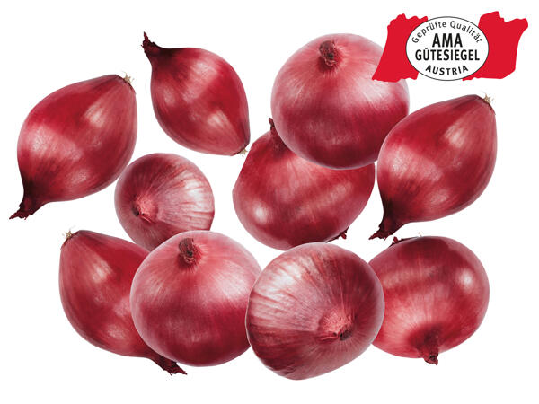 Zwiebeln rot aus Österreich