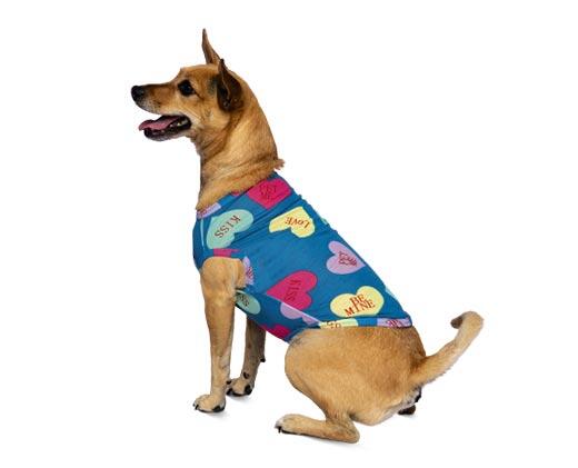 Heart to Tail 
 Valentine's Day Pet Apparel