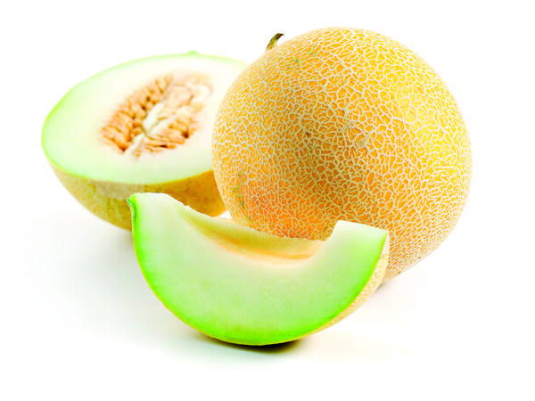 Melon Galia