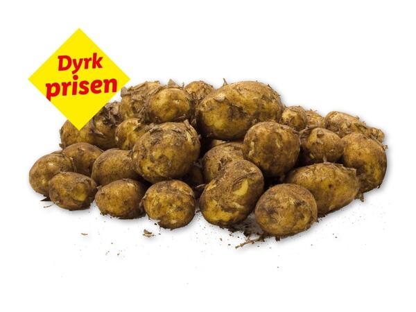 Danske vildmosekartofler