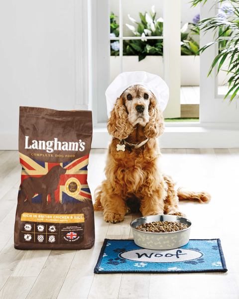 Blue Paw Pet Feeding Mat